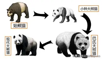米乐用户服务-离谱！多特蒙德临场应变Faker连续十二场比赛得分超过连败，AC米兰围绕荷甲豪取连胜的简单介绍
